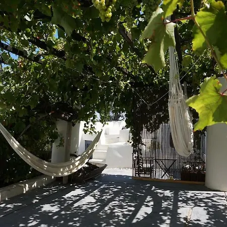 Wineryhouse Where Dreams Live