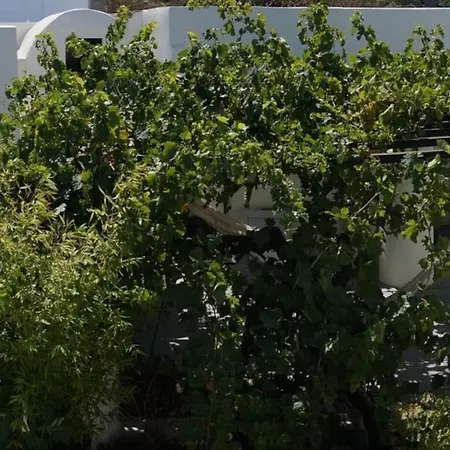 Wineryhouse Where Dreams Live * Oia (Santorini)
