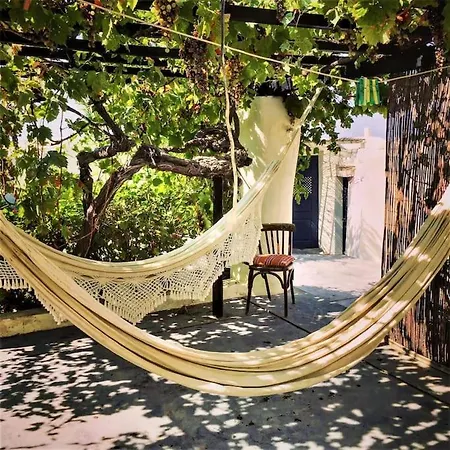 Wineryhouse Where Dreams Live Villa